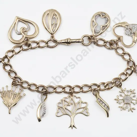 9ct Curb Link Charm Bracelet