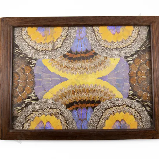 Rosewood & Butterfly Wing Two Handled Tray