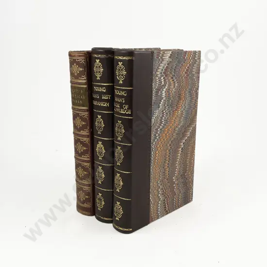 Young Mans Best Companion & Young Mans Book Of Knowledge & Other Poetry Volume