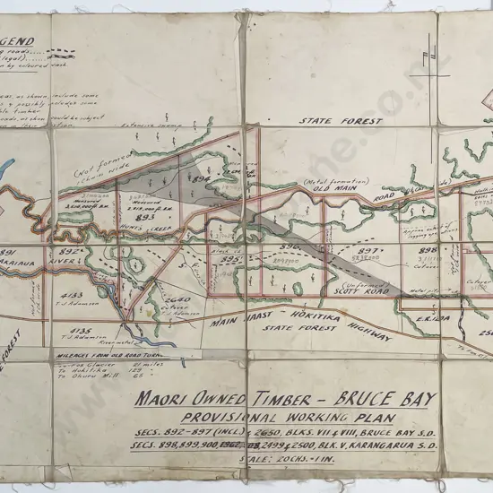 Interesting Vintage Hand Drawn & Painted Map Of Maori Owned Timber Sections At Bruce Bay