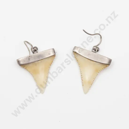 Pair S/S Mounted Shark Tooth Earrings