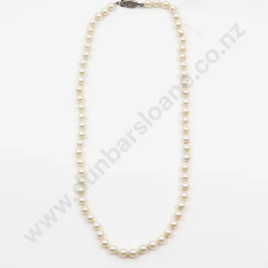Single Strand Uniform Cultured Pearl Necklace