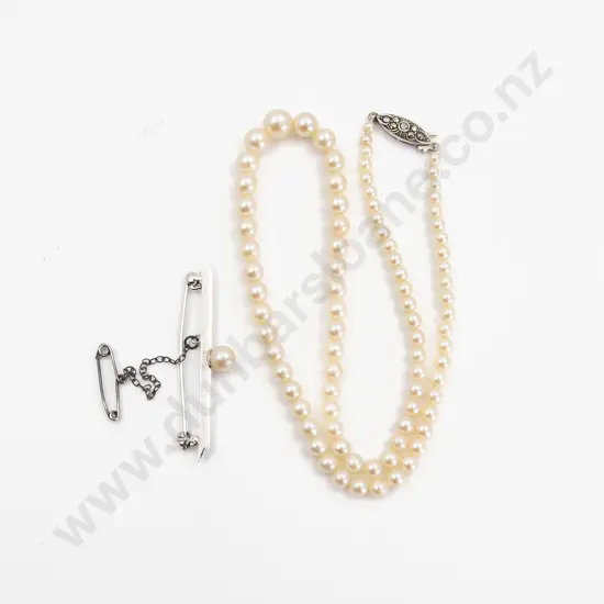 Single Strand Graduated Cultured Pearl Necklace
