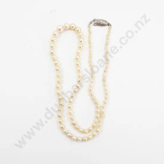 Single Strand Graduated Cultured Pearl Necklace