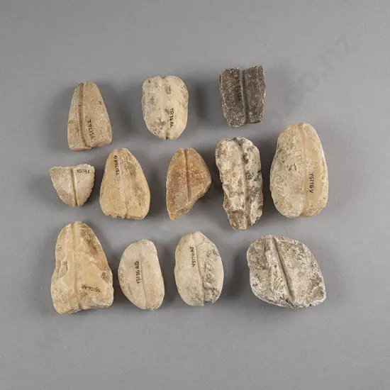 Twelve Limestone Sinkers