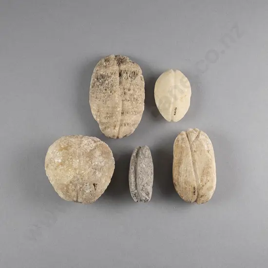 Five Limestone Sinkers