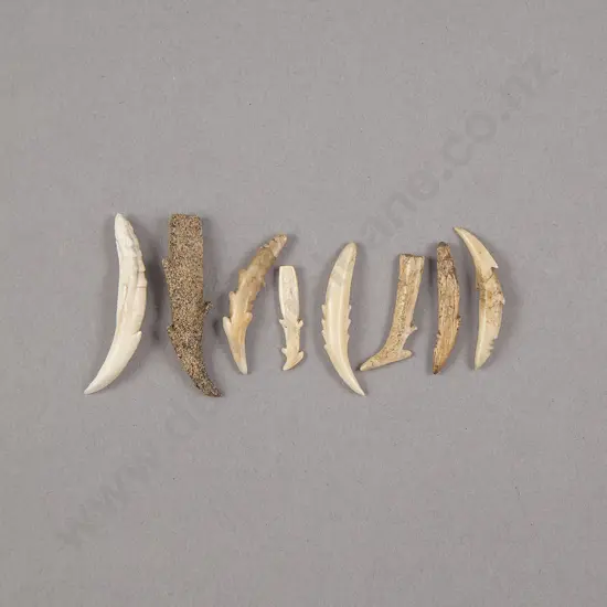 Eight Small Bone Fish Hooks