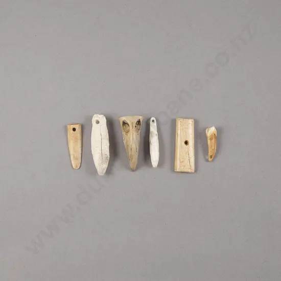 Assortment of Bone and Tooth Pendants