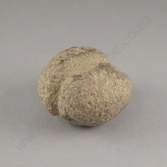 A large Mahe (Sinker)