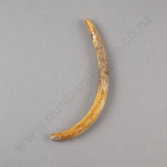 A Rare And Important Aurei (Cloak Pin)