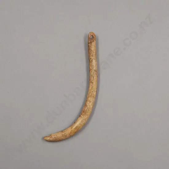 An Early Contact Period Aurei (Cloak Pin)