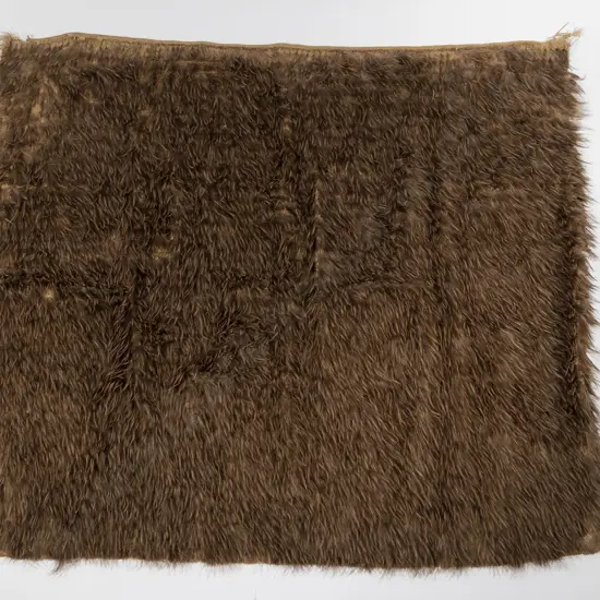 19th Century Kiwi Feather Cloak