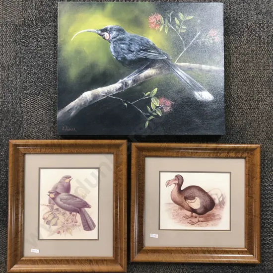 A. Anker Bird Study Together With Two Framed Bird Studies (3)