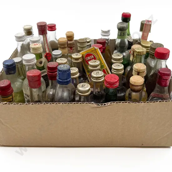Approx. 40 Mixed Alcohol Miniatures