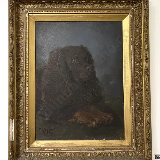Victorian Oil Portrait Of A Seated Dog "Vic"