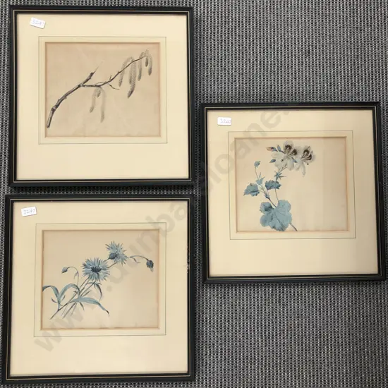 Three Botanical Prints