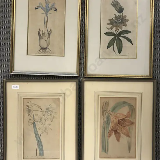 Four Botanical Prints