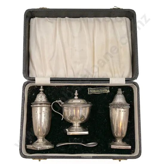 Cased S/S Condiment Set