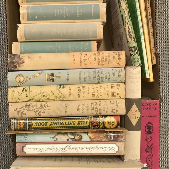 Box of Assorted Books Including King Of Paris By Guy Endore