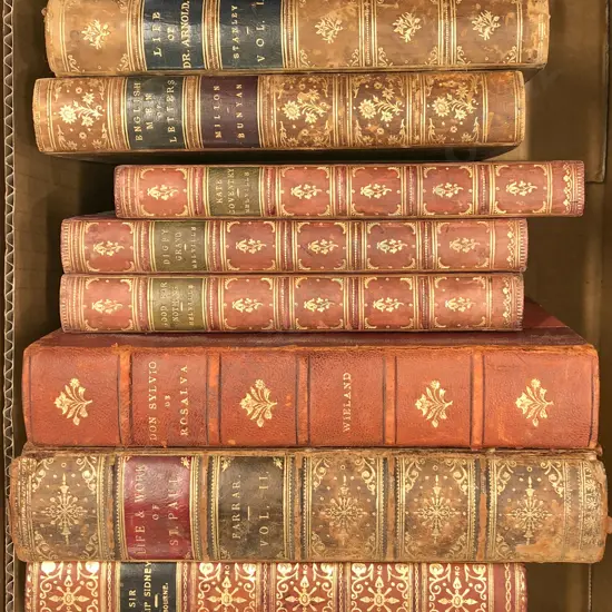 Small Box Of Vintage Books Including Don Sylvio Dr Rosalva By Wieland