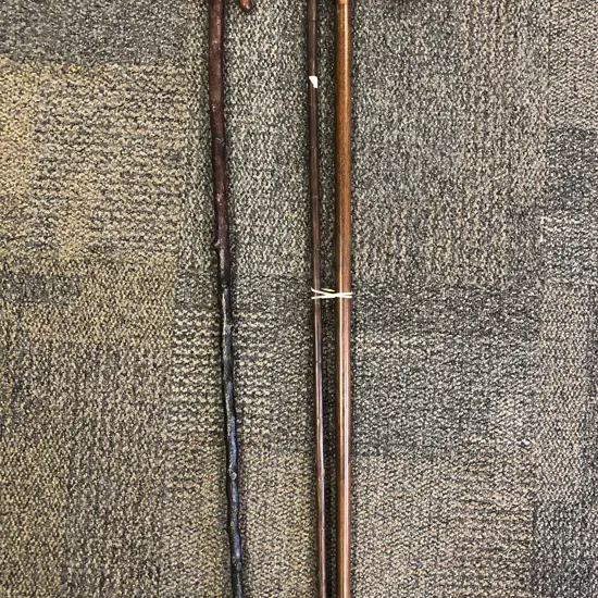 Three Assorted Walking Sticks