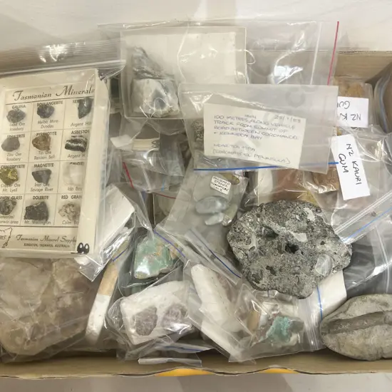 Box of Assorted Shells and Kauri Gum etc