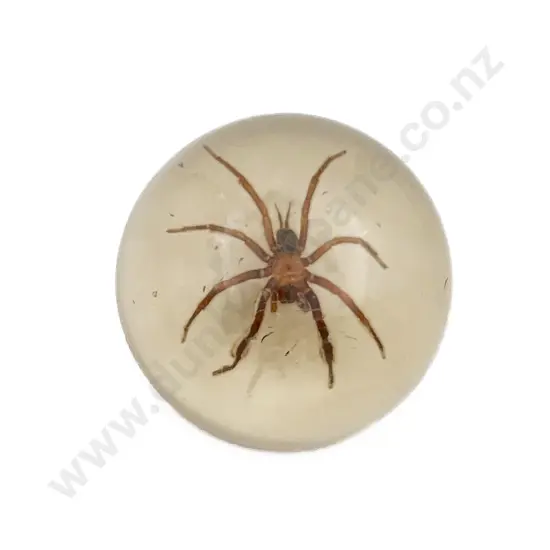 Large Spider Resin Paperweight