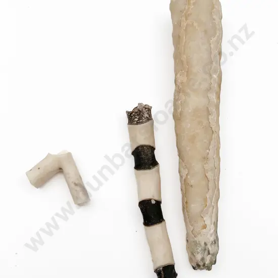 Three Stalactite Specimens