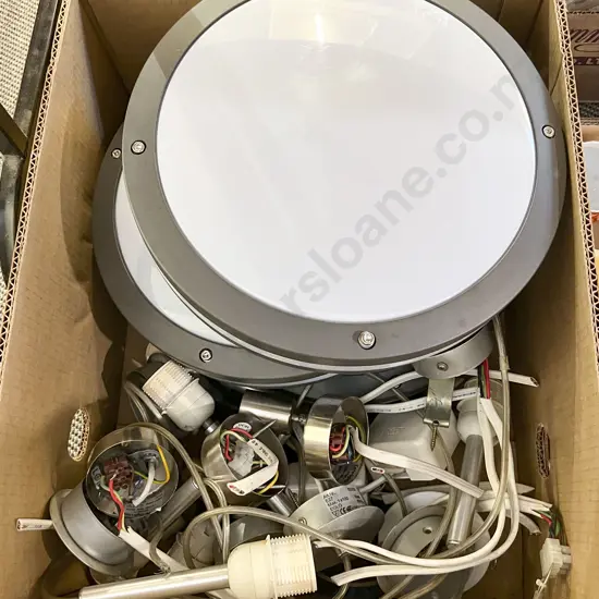 Box of Assorted Light Fittings and Ceiling Lights Etc.
