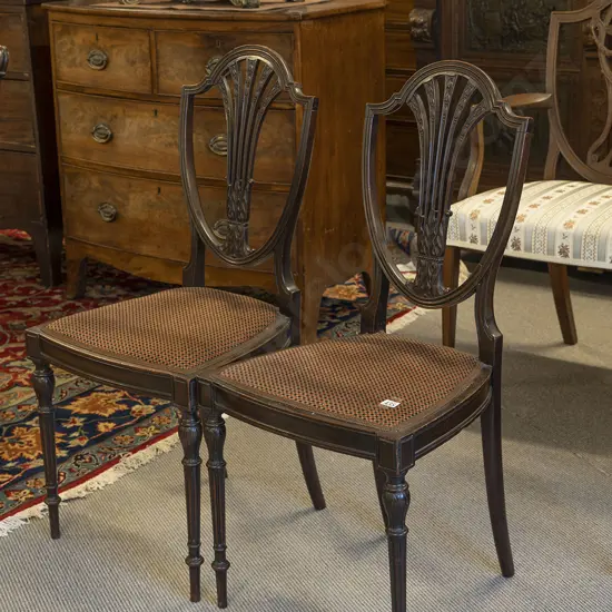 Elegant Pair Of Edwardian Adams Style Mahogany Parlour Side Chairs