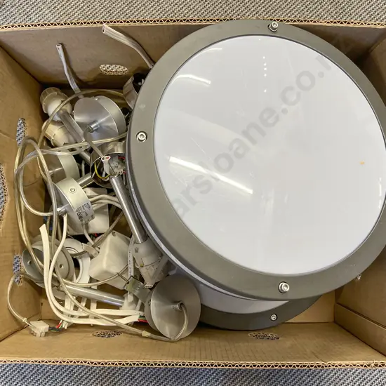 Box of Assorted Light Fittings
