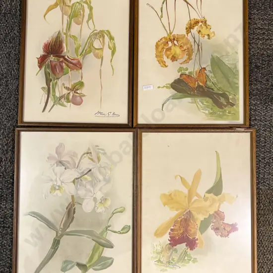 Four Framed Botanical Prints