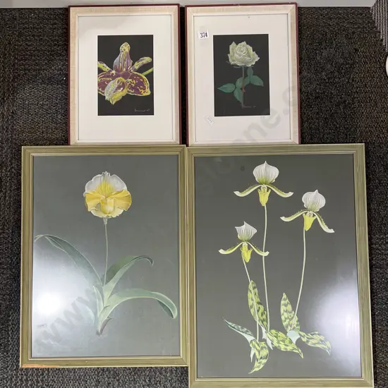 Two Botanical Works on Paper Together With Two Botanical Prints