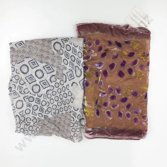 Silk Velvet 'Pussy Willows' Neutral Scarf