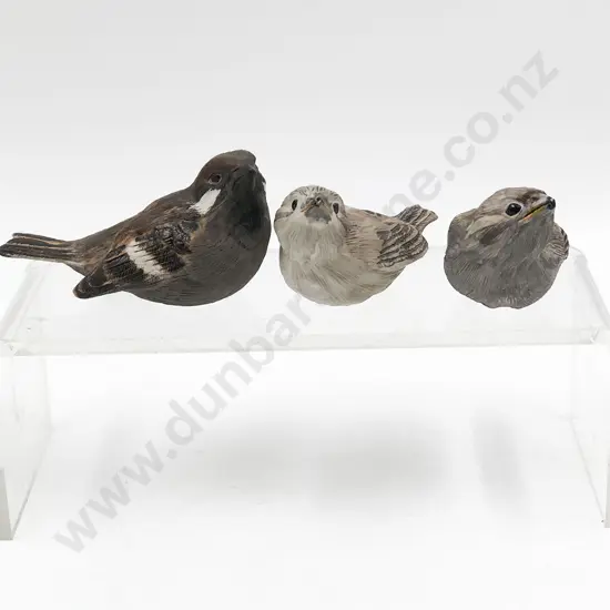 Three NZ Hereford Models