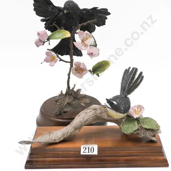 Two NZ Hereford Models