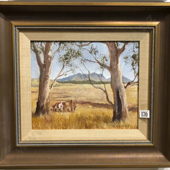 D. Clancy - Western New South Wales