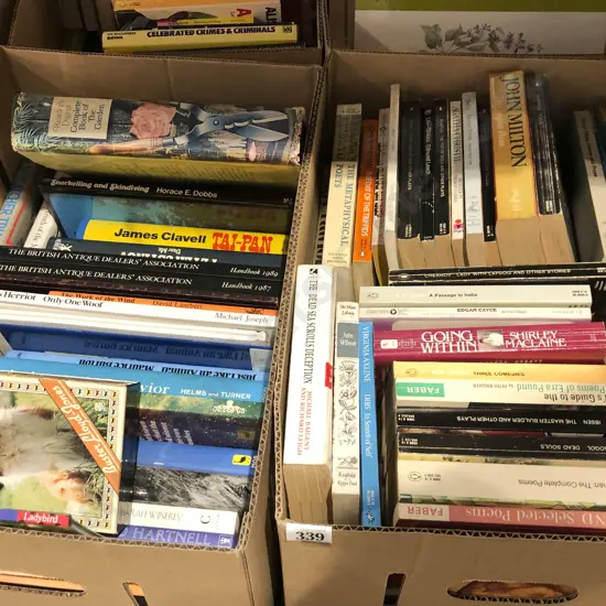 Two Boxes of Assorted Books