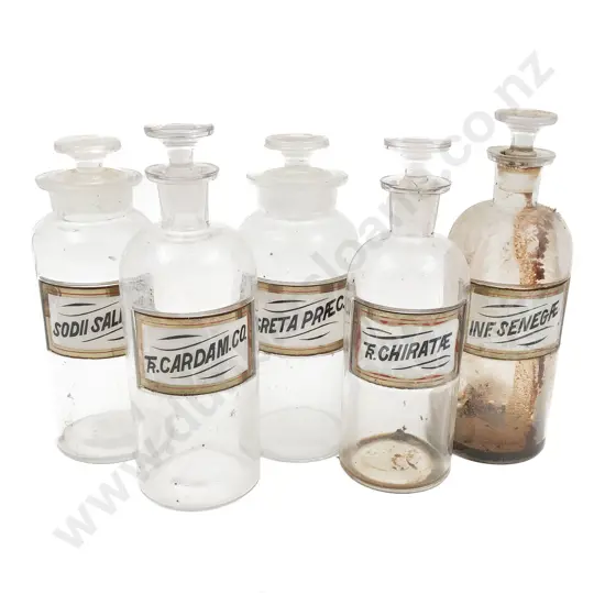 Five Labeled Stoppered Chemist Bottles