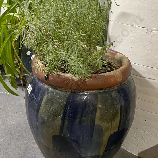 Glazed Pottery Plant Pot