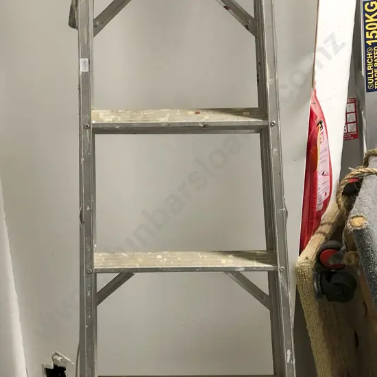 Aluminum Ladder