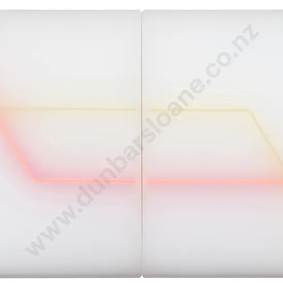 Karyn Taylor (b.1969) - Untitled Diptych