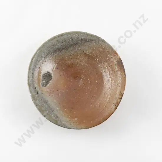 Richard Parker Small Shino Plate