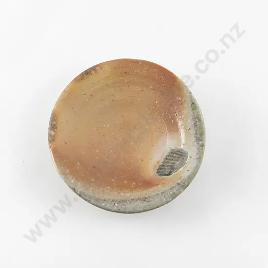 Richard Parker Small Shino Plate