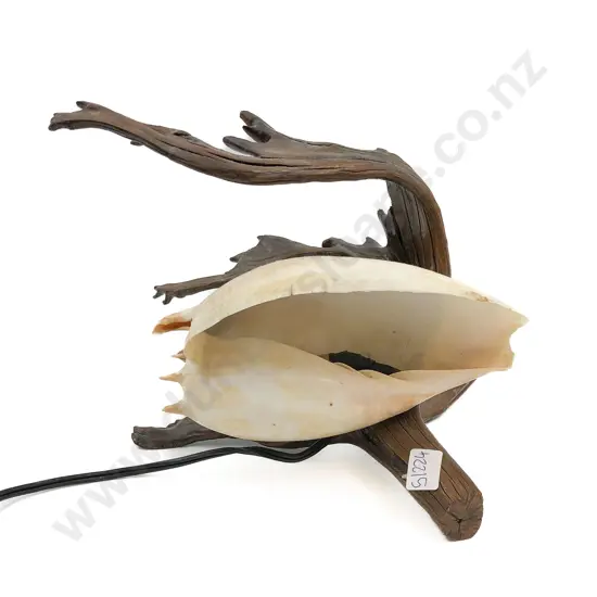 Seashell Table Lamp