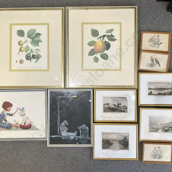 Box of Assorted Framed Works incl Botanical Studies