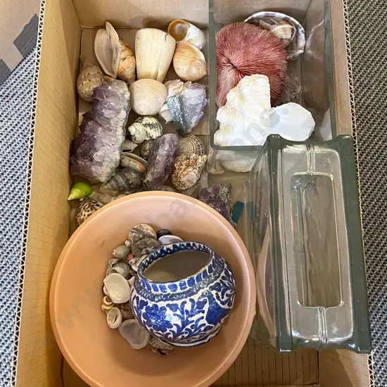 Box of Assorted Shells and Mineral Samples etc
