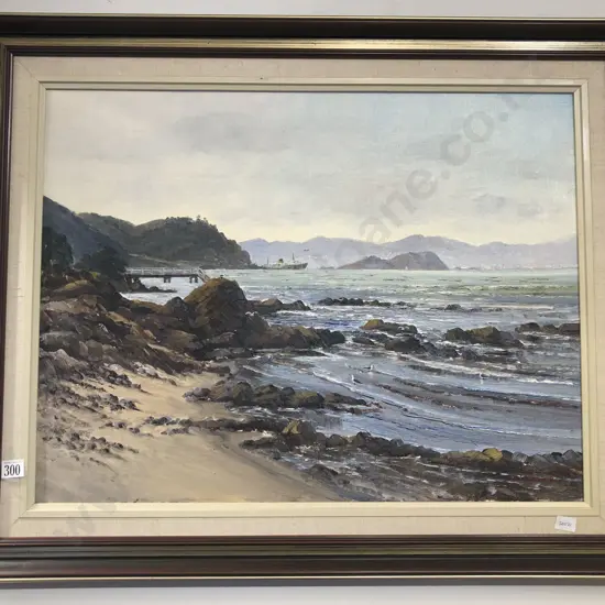 Colin Dickie - Karaka Bay