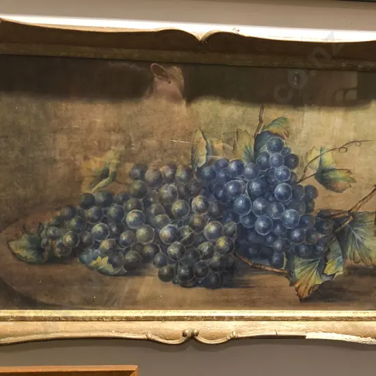 Watercolour Still Life of Grapes Signed I.A.M