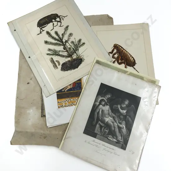 Small Qty of Loose Prints and Originals Including Two Nude Mogul Works